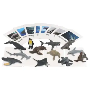 Modely Zvierat Na Motorke Zvierat Obraz Na Pamäťovú Kartu Morských Zvierat Na Motorke Montessori Materiál Jazykové Vzdelávanie